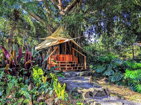 Outdoor treatment areas, deep-tissue massages, Swedish massages