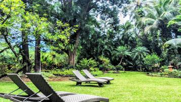 Blick auf den Garten