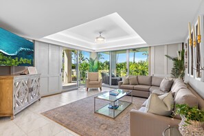 TV, books, computer monitors