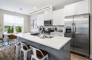 Apartamento familiar, Se admiten mascotas, vistas al lago | Cocina privada | Frigorífico, microondas, horno y placa de cocina