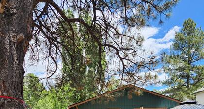 Charming 3-bedroom house with WiFi, dog friendly, hot tub, and AC in Flagstaff