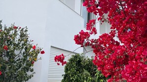 A white building with a window, a door, and a covered outdoor area with red flowers and greenery. - Yasmine Hammamet, villa with pool near Carthage Land. (Yasmine Hammamet)