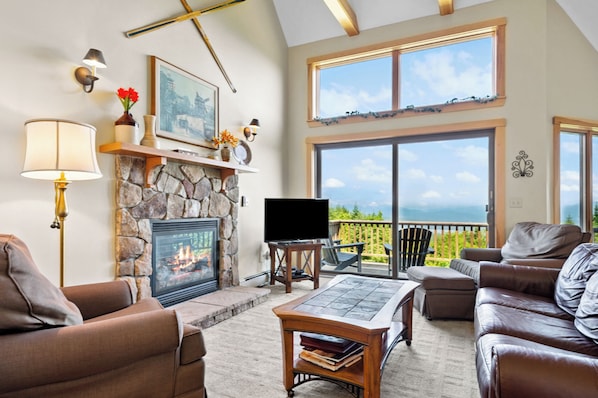 TV, fireplace, DVD player, books