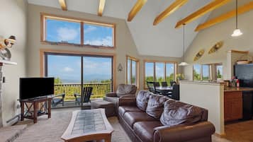 TV, fireplace, DVD player, books