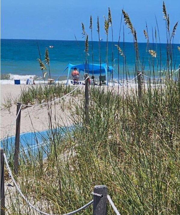 Plage à proximité, chaises longues, serviettes de plage