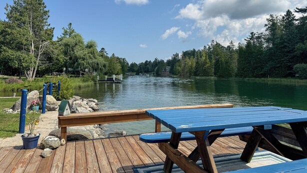 A wooden dock with a picnic table overlooking a calm lake, surrounded by dense trees and a clear sky.