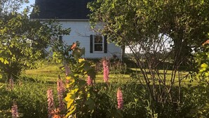 A white house with a dark roof, surrounded by lush greenery and flowering plants.