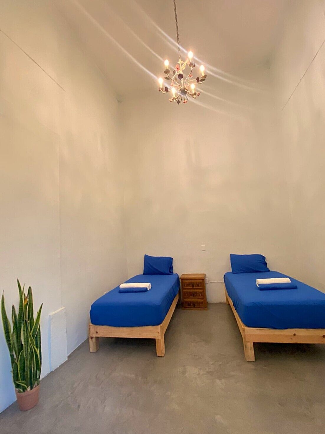 A room with two wooden beds, each with a blue mattress and pillow, a potted plant, and a hanging light fixture.