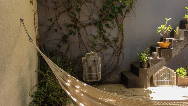 A hammock, potted plants, and a birdcage in a sunlit outdoor area with a concrete wall and steps. - El Pinche Hostal (Guadalajara)