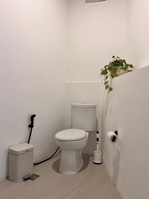 Hair dryer, towels, soap, toilet paper