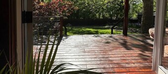 The Artist's Secret Garden