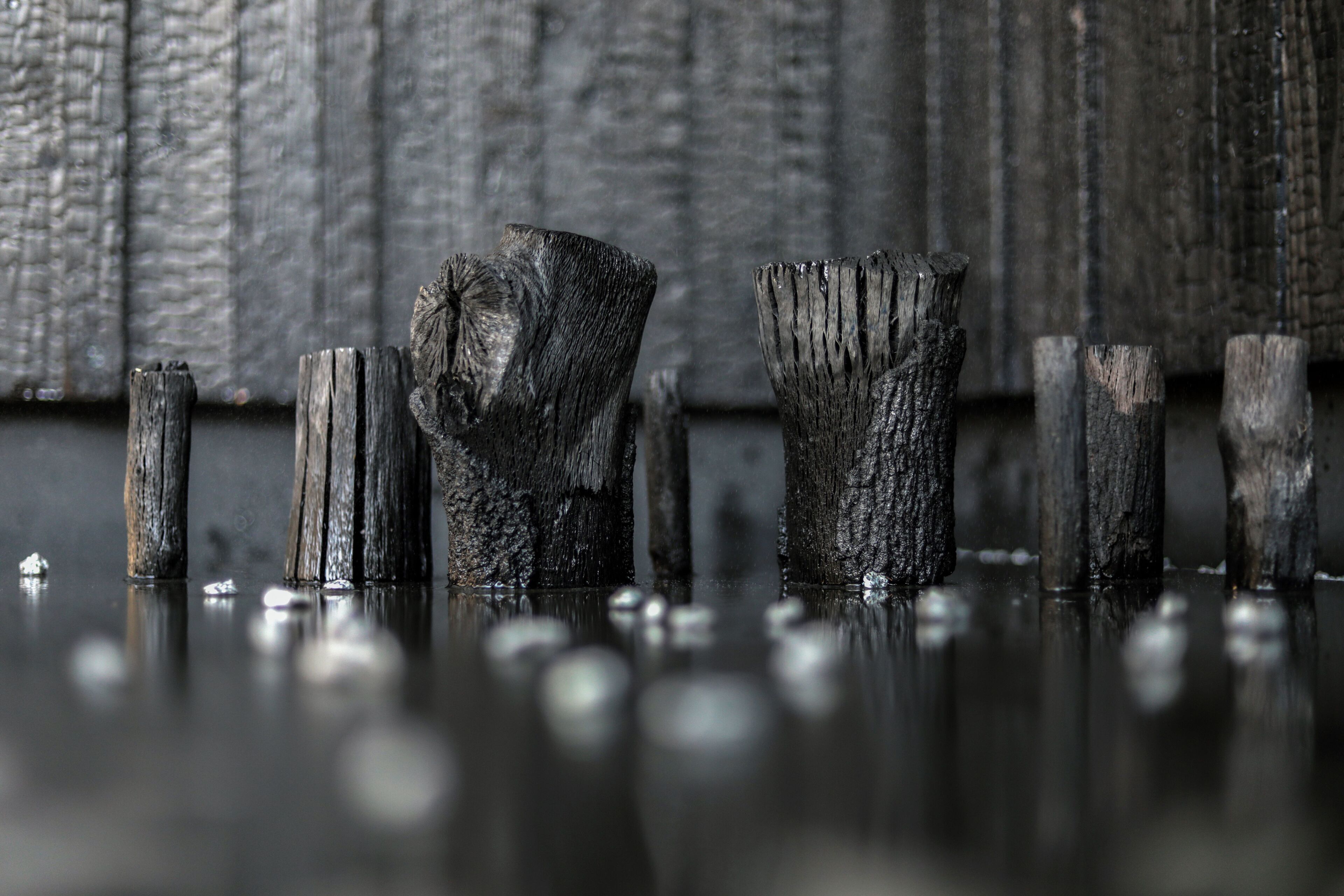 A close-up of weathered wooden posts with a textured background.