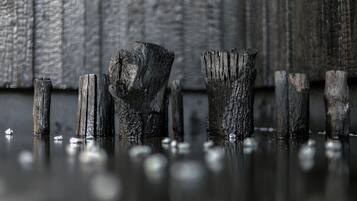 A close-up of weathered wooden posts with a textured background.