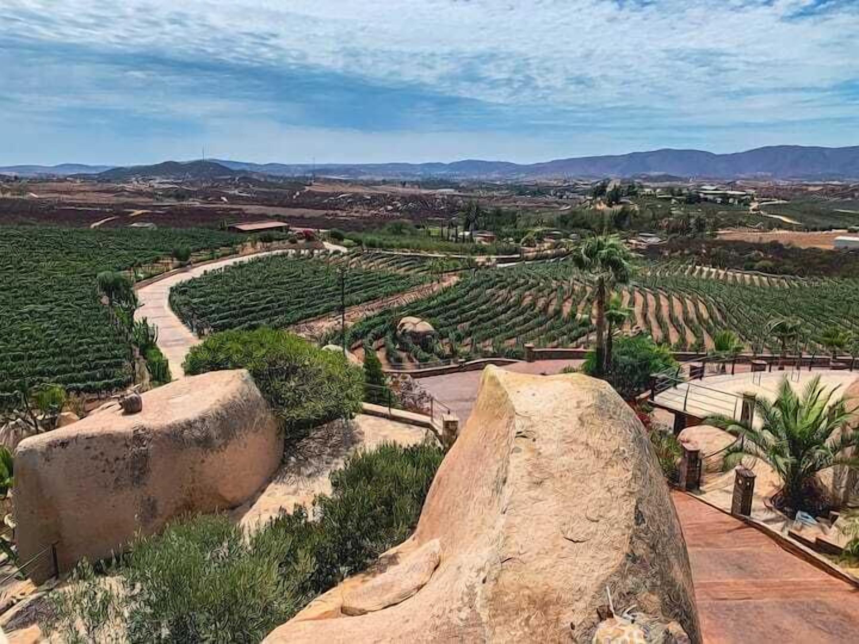 Photo - Hacienda Martlot