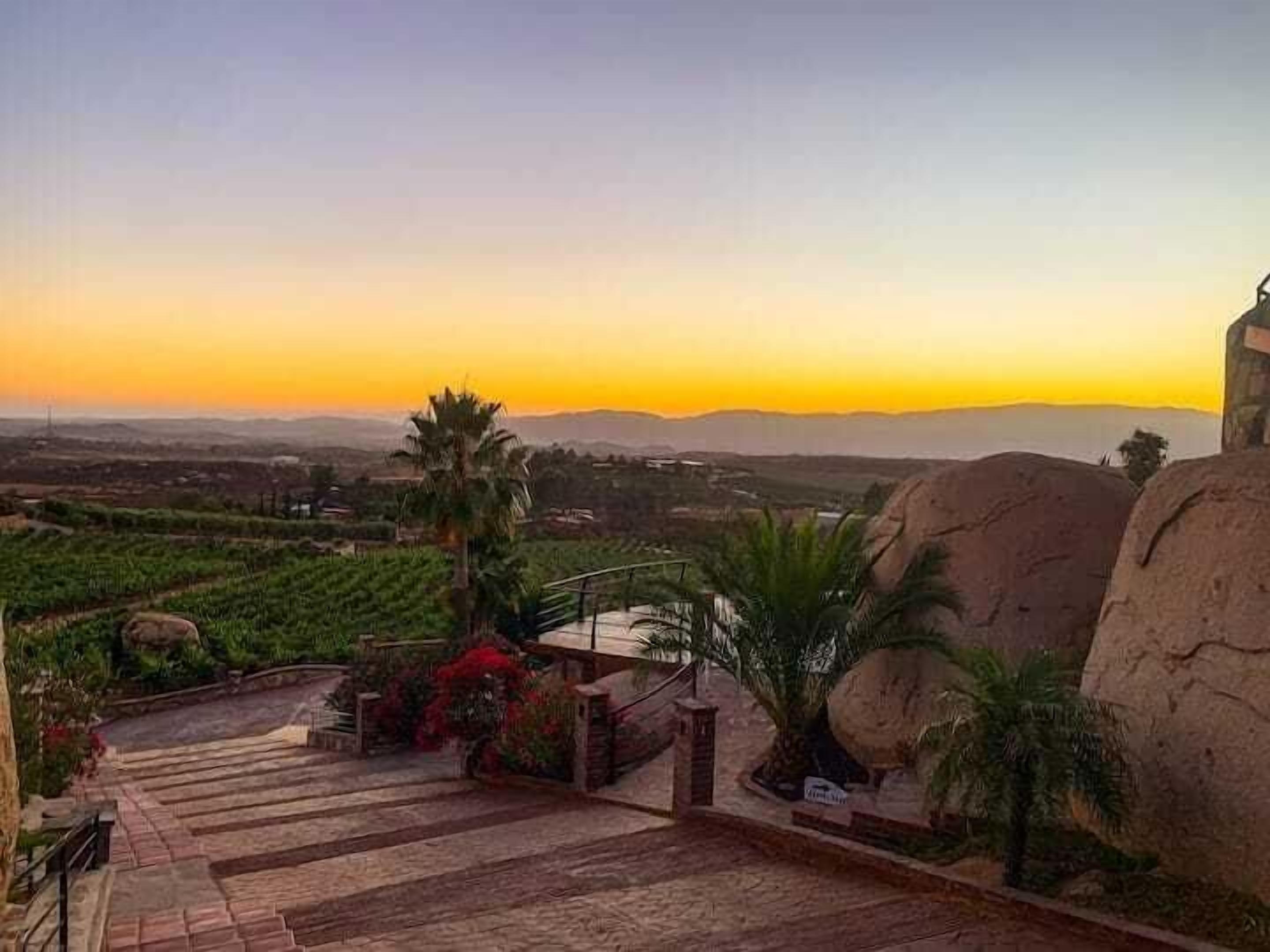 Photo - Hacienda Martlot