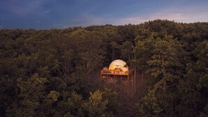 A dome-shaped structure surrounded by dense forest. - Cozy Chalet & Luxe Domes Retreat w/Stunning Views (Augusta)