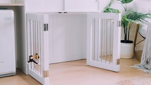 Ein Zimmer mit einem weißen Schrank, einem weißen Heizkörper, einer weißen Tür mit Metallgriff, einem Holzboden und einer Topfpflanze.