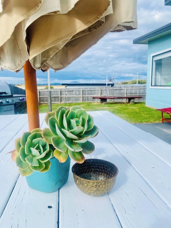 A succulent plant in a blue pot on a white table, a gold bowl, and a wooden fence in the background.