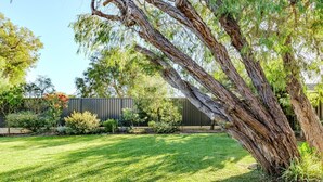 A well-maintained backyard with a large tree, a neatly trimmed lawn, and a metal fence in the background. - Emu Point Beach Cottages (Emu Point)