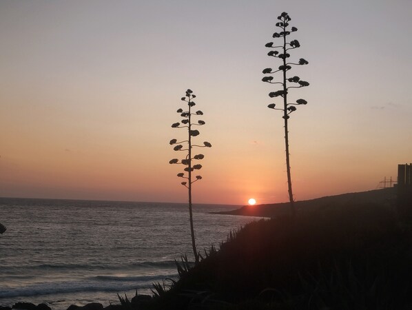 Un coucher de soleil sur l’océan, avec deux structures proéminentes ressemblant à des plantes se détachant sur le ciel.