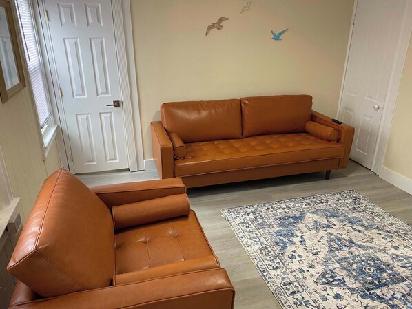 A room with a brown leather sofa, a patterned rug, and a white door with a small window.