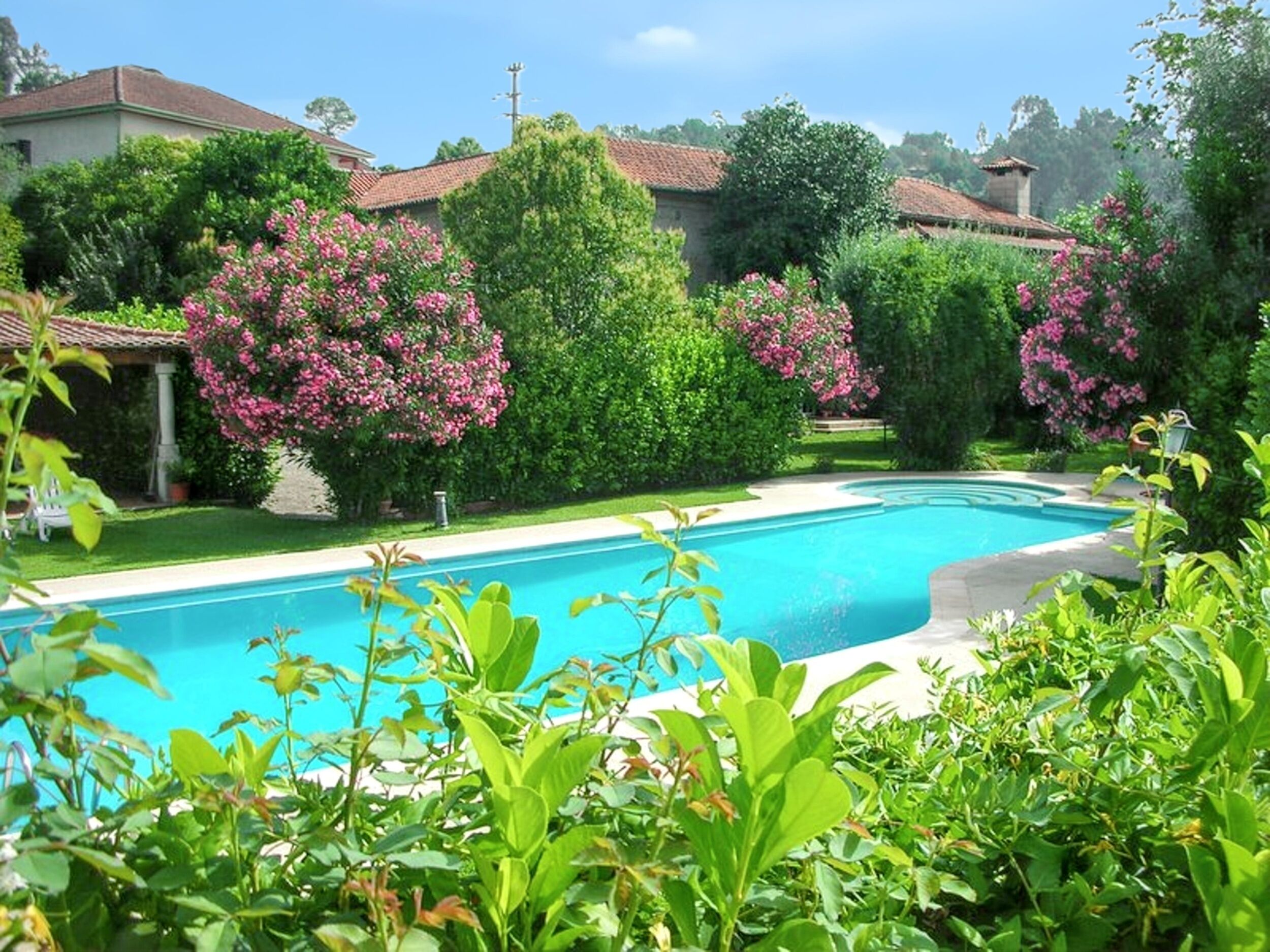 Swimming pool view