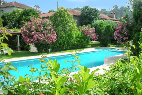 Swimming pool view