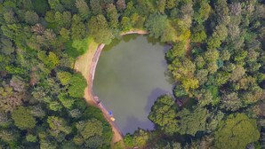 Vista aerea di un lago circondato da una fitta foresta, con un piccolo pontile e una barca.