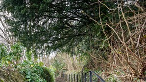 Un escalier en pierre avec une rampe métallique, entouré de verdure et d’arbres.