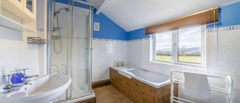 Shower, hair dryer, towels