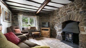 Una sala de estar acogedora con una chimenea de piedra, un televisor y un rincón de estar confortable.