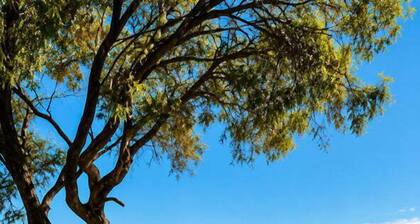The Best Beach Cabin – Family Stay Near Busselton