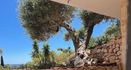 Apartment Villa Mare San Pietro in Bevangne with sea view, terrace, garden