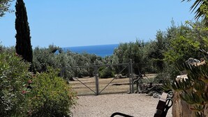 A bench in a garden with a view of the sea.