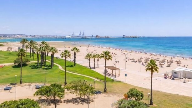 Ein Strand mit Palmen, sandigem Ufer und blauem Himmel.