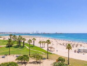 Een strand met palmbomen, een zandgebied en een helderblauwe lucht.