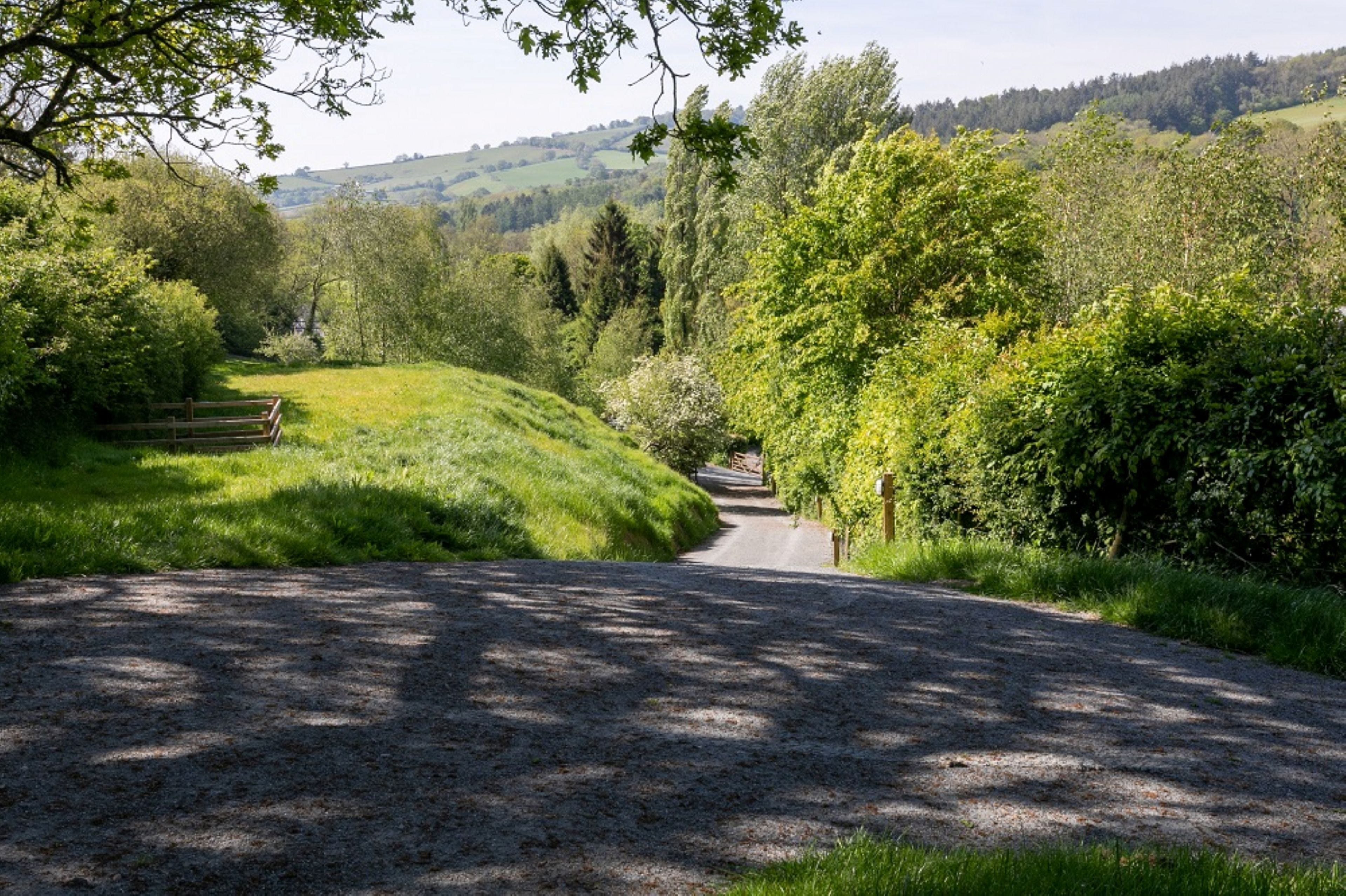 Un chemin de gravier qui traverse un paysage verdoyant, avec des arbres et des collines en arrière-plan.