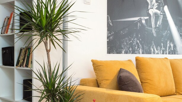 Un salon avec un canapé jaune, une bibliothèque, une plante en pot et une table basse.