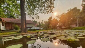 A serene pond with lily pads surrounded by trees and buildings. - Supalai Pasak Resort Hotel and Spa (Tha Khlo)