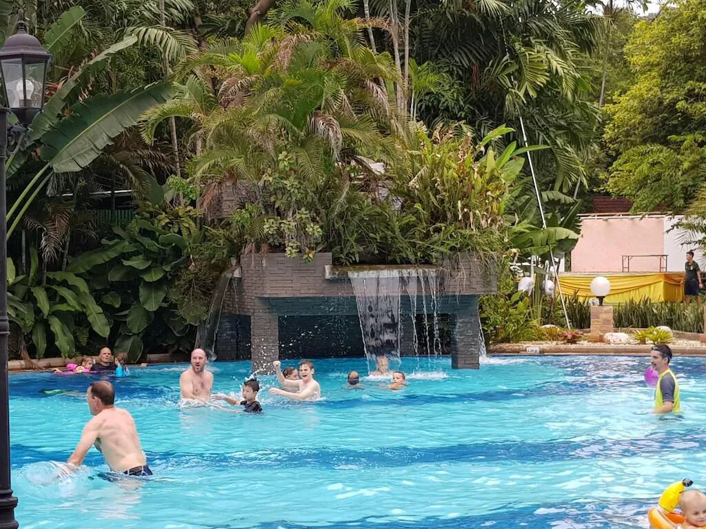 Una piscina rodeada de abundante vegetación y una cascada.