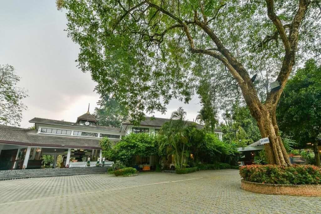 A courtyard with a large tree, a building with a clock tower, and a paved walkway.