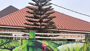 Una piscina con un mural tropical de fondo, una silla de descanso de madera y una escalera metálica.