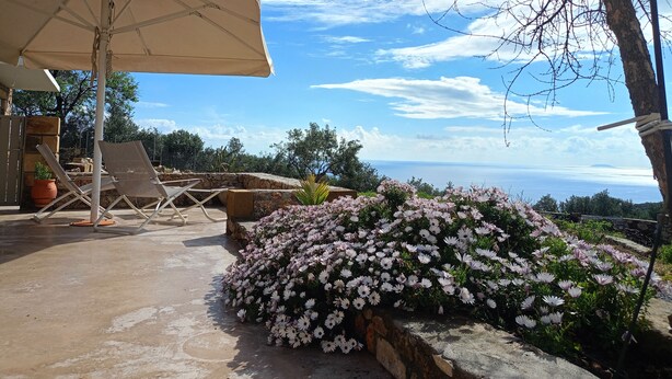 A patio area with lounge chairs, a large umbrella, and a flower bed.