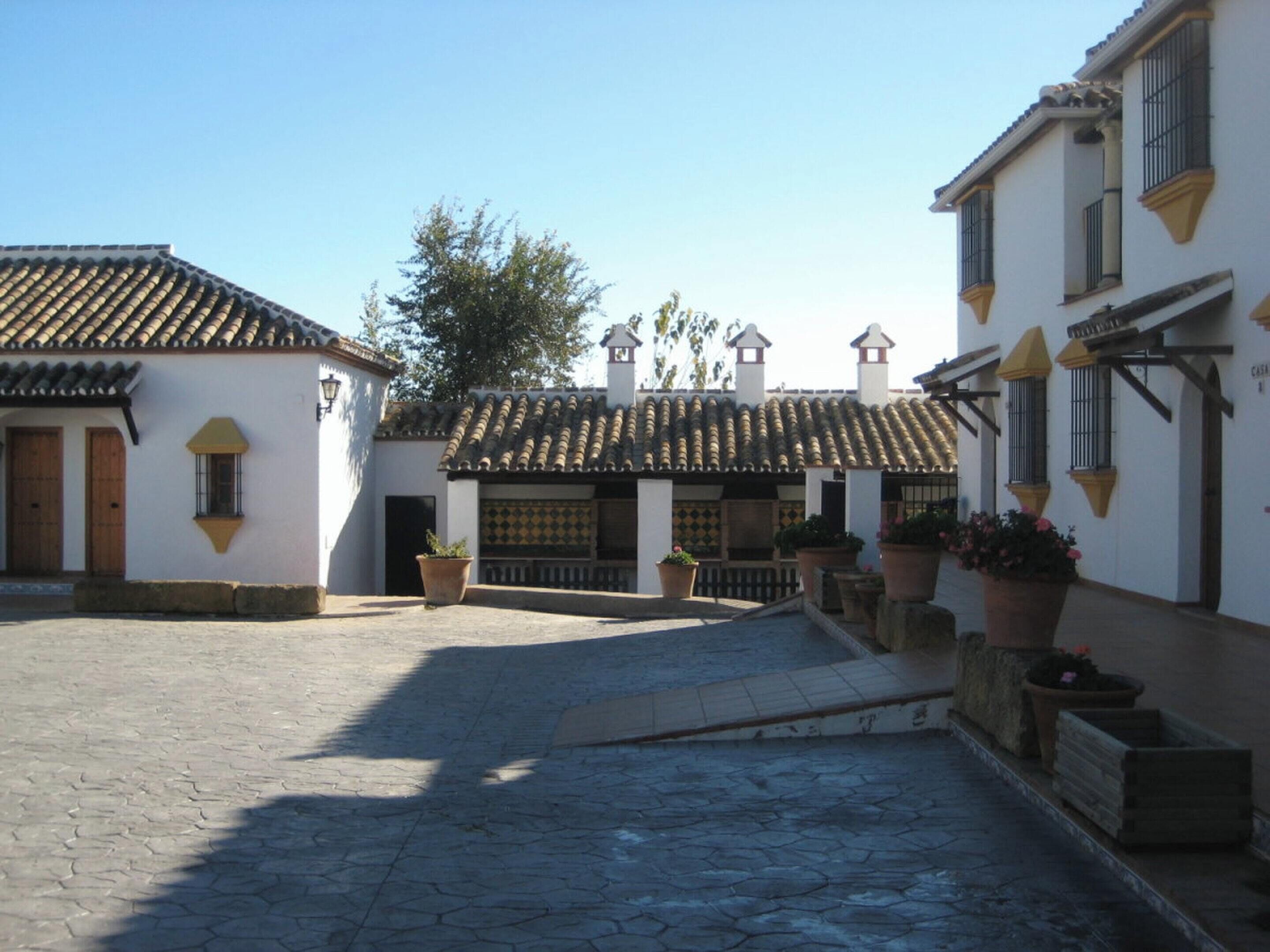 Front view