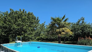 An outdoor swimming pool with a clear blue water surface, surrounded by lush green trees and a palm tree.