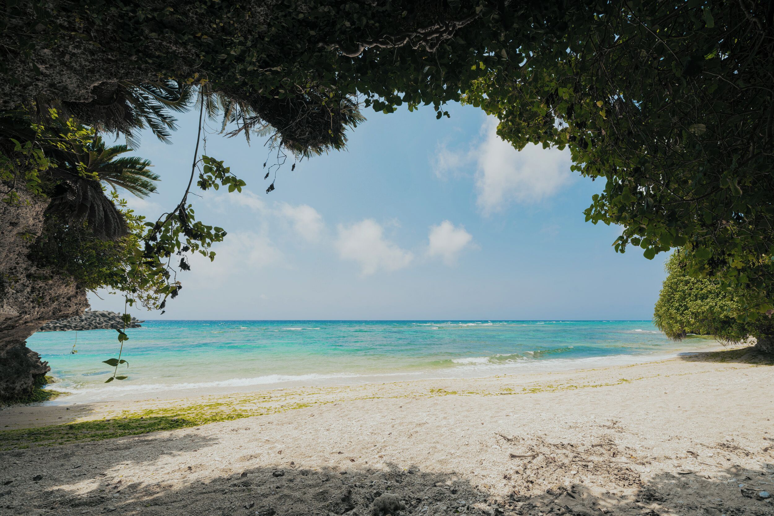 A beach with clear turquoise water, a sandy shore, and a tree-covered area.