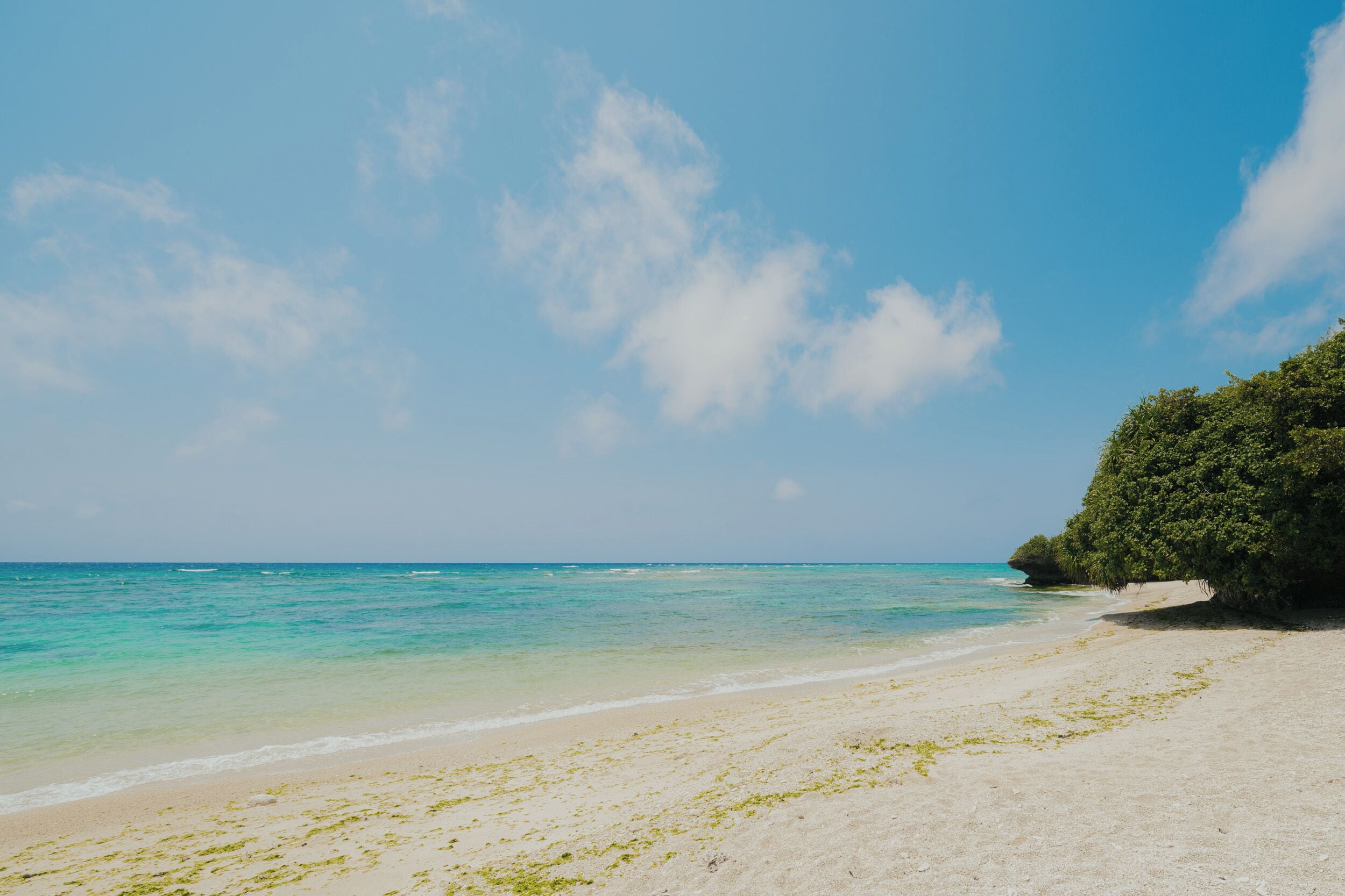 Une plage à l’eau turquoise et limpide, avec un rivage sablonneux et une colline verdoyante en arrière-plan.