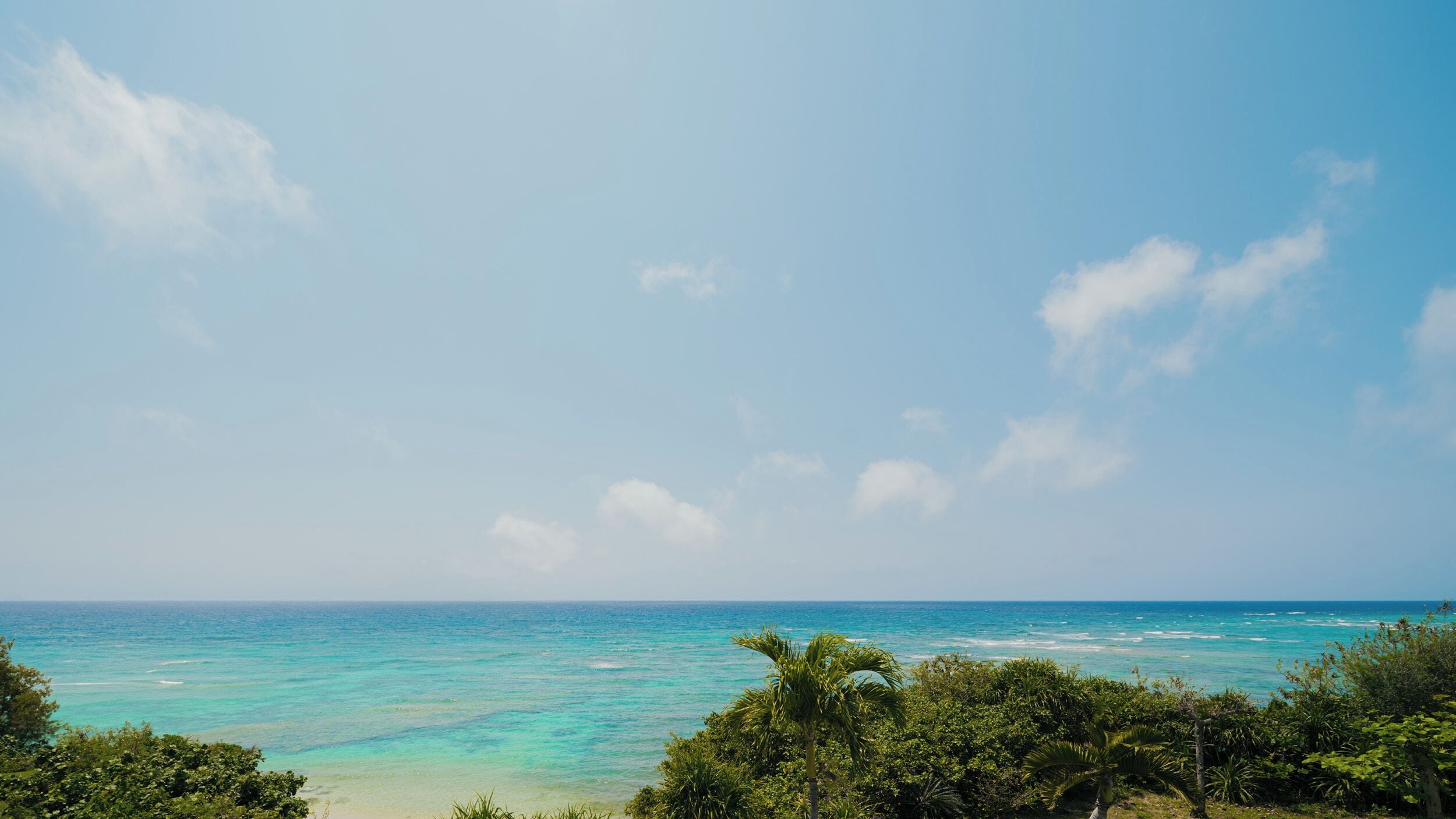 A coastal landscape with clear skies, turquoise sea, and dense greenery.