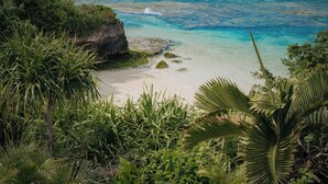 Een strand met helder turquoise water, een zandrijk strand en weelderige groene begroeiing.