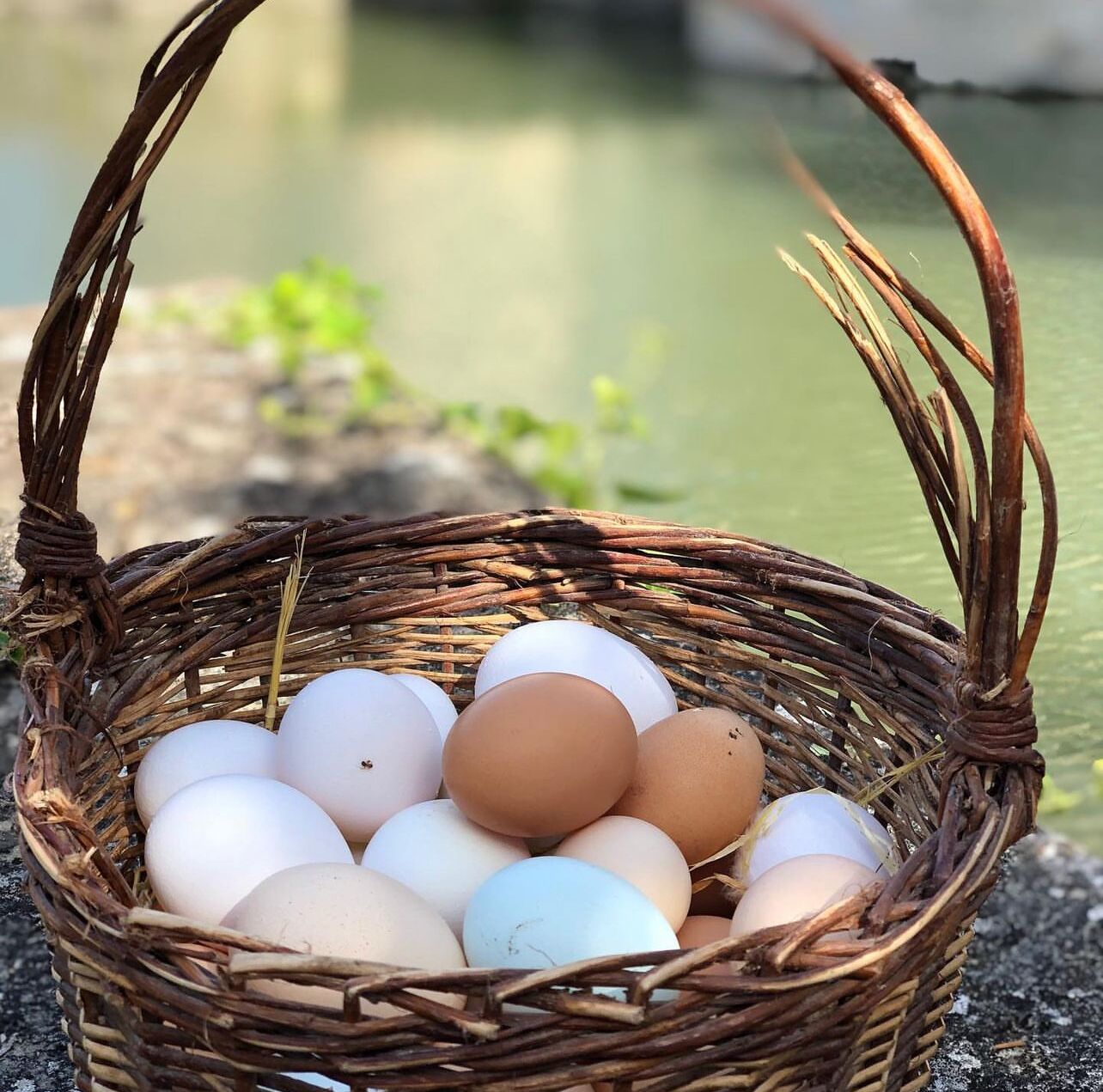 A wicker basket filled with eggs placed on a surface near a body of water.